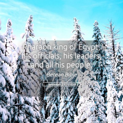 Picture 05 - Jeremiah 25:19 BSB - Pharaoh king of Egypt, his officials, his - Bible Verse Picture