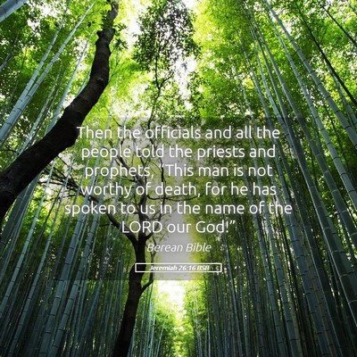 Picture 05 - Jeremiah 26:16 BSB - Then the officials and all the people told the - Bible Verse Picture
