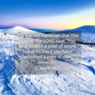 Picture 05 - Jeremiah 28:13 BSB - “Go and tell Hananiah that this is what the - Bible Verse Picture