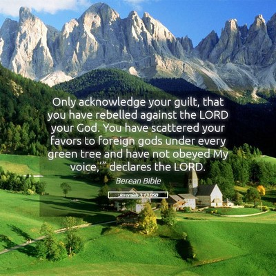 Picture 05 - Jeremiah 3:13 BSB - Only acknowledge your guilt, that you have - Bible Verse Picture