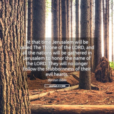 Picture 05 - Jeremiah 3:17 BSB - At that time Jerusalem will be called The Throne - Bible Verse Picture