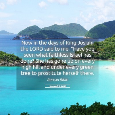 Picture 05 - Jeremiah 3:6 BSB - Now in the days of King Josiah, the LORD said to - Bible Verse Picture