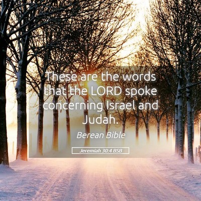Picture 05 - Jeremiah 30:4 BSB - These are the words that the LORD spoke - Bible Verse Picture