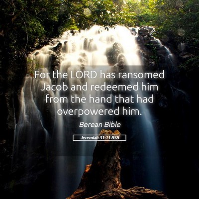 Picture 05 - Jeremiah 31:11 BSB - For the LORD has ransomed Jacob and redeemed him - Bible Verse Picture