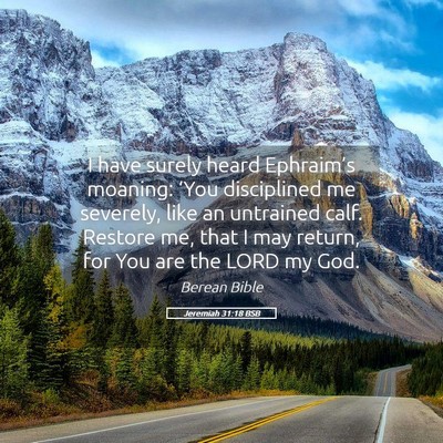 Picture 05 - Jeremiah 31:18 BSB - I have surely heard Ephraim’s moaning: ‘You - Bible Verse Picture