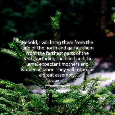 Picture 05 - Jeremiah 31:8 BSB - Behold, I will bring them from the land of the - Bible Verse Picture