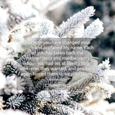 Picture 05 - Jeremiah 34:16 BSB - But now you have changed your minds and profaned - Bible Verse Picture