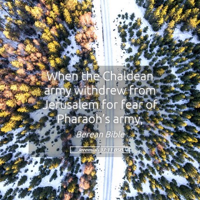 Picture 05 - Jeremiah 37:11 BSB - When the Chaldean army withdrew from Jerusalem - Bible Verse Picture