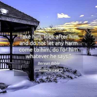 Picture 05 - Jeremiah 39:12 BSB - “Take him, look after him, and do not let any - Bible Verse Picture