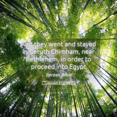 Picture 05 - Jeremiah 41:17 BSB - And they went and stayed in Geruth Chimham, near - Bible Verse Picture