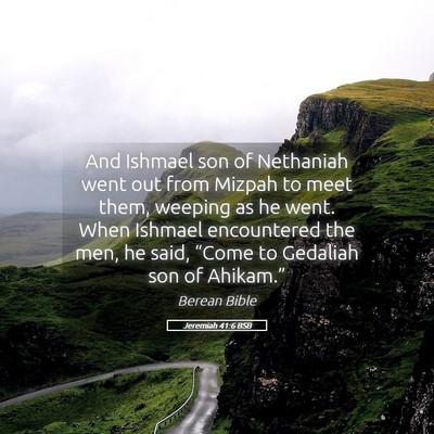 Picture 05 - Jeremiah 41:6 BSB - And Ishmael son of Nethaniah went out from Mizpah - Bible Verse Picture
