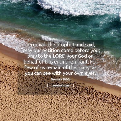 Picture 05 - Jeremiah 42:2 BSB - Jeremiah the prophet and said, “May our - Bible Verse Picture