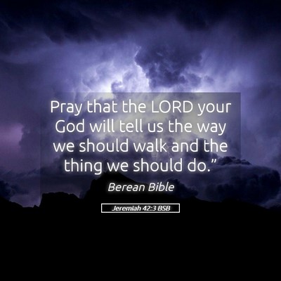 Picture 05 - Jeremiah 42:3 BSB - Pray that the LORD your God will tell us the way - Bible Verse Picture