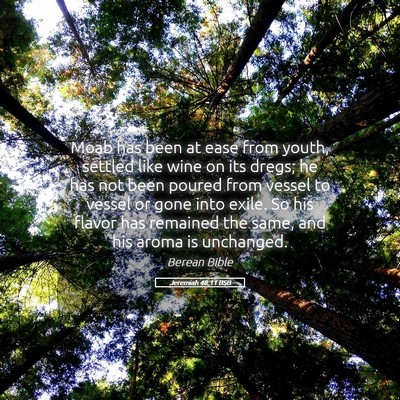 Picture 05 - Jeremiah 48:11 BSB - Moab has been at ease from youth, settled like - Bible Verse Picture