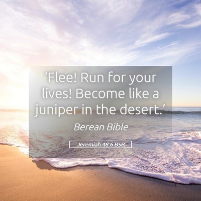 Picture 05 - Jeremiah 48:6 BSB - ‘Flee! Run for your lives! Become like a - Bible Verse Picture