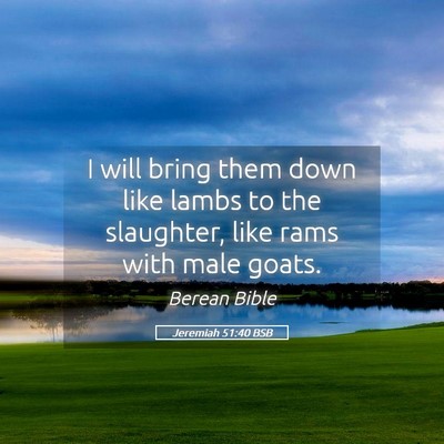 Picture 05 - Jeremiah 51:40 BSB - I will bring them down like lambs to the - Bible Verse Picture
