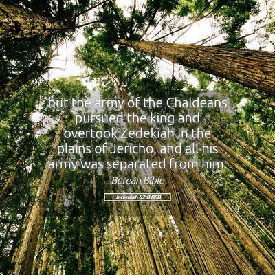 Picture 05 - Jeremiah 52:8 BSB - but the army of the Chaldeans pursued the king - Bible Verse Picture
