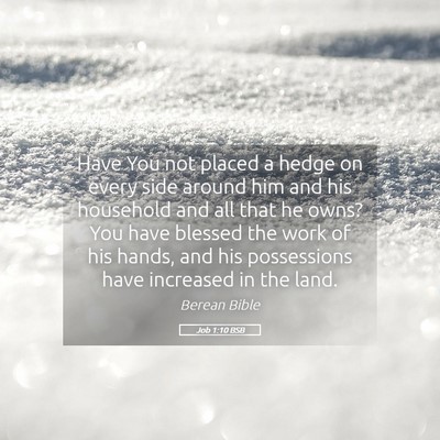 Picture 05 - Job 1:10 BSB - Have You not placed a hedge on every side around - Bible Verse Picture