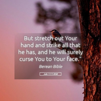 Picture 05 - Job 1:11 BSB - But stretch out Your hand and strike all that he - Bible Verse Picture