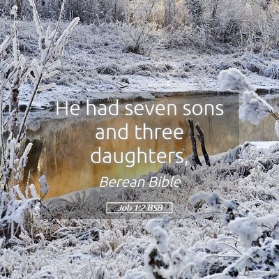 Picture 05 - Job 1:2 BSB - He had seven sons and three - Bible Verse Picture