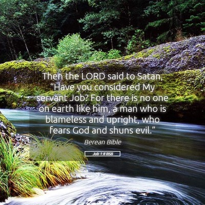 Picture 05 - Job 1:8 BSB - Then the LORD said to Satan, “Have you - Bible Verse Picture
