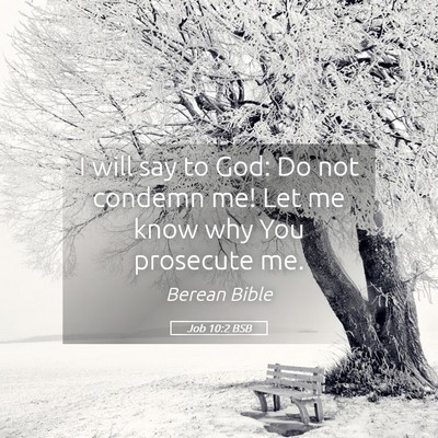 Picture 05 - Job 10:2 BSB - I will say to God: Do not condemn me! Let me know - Bible Verse Picture