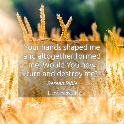 Picture 05 - Job 10:8 BSB - Your hands shaped me and altogether formed me. - Bible Verse Picture