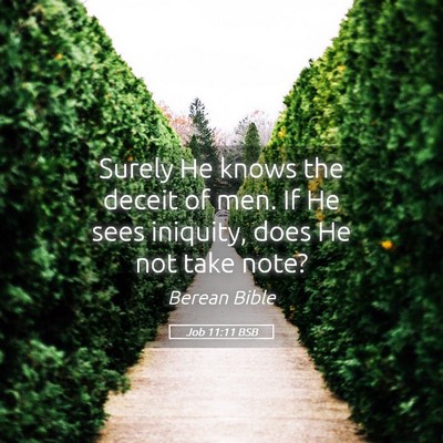 Picture 05 - Job 11:11 BSB - Surely He knows the deceit of men. If He sees - Bible Verse Picture