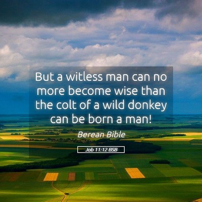 Picture 05 - Job 11:12 BSB - But a witless man can no more become wise than - Bible Verse Picture