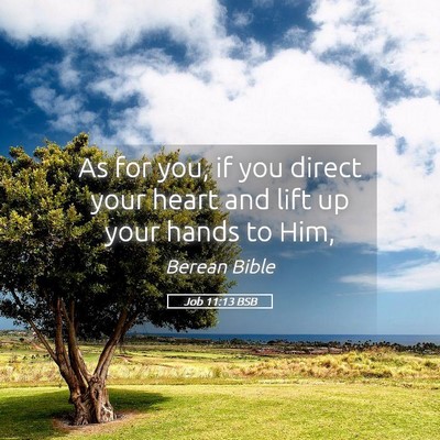 Picture 05 - Job 11:13 BSB - As for you, if you direct your heart and lift up - Bible Verse Picture