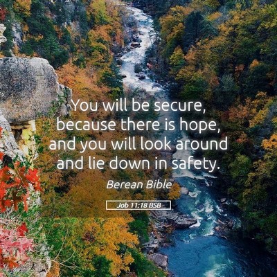 Picture 05 - Job 11:18 BSB - You will be secure, because there is hope, and - Bible Verse Picture