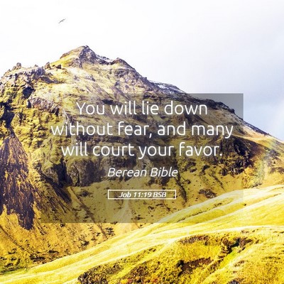 Picture 05 - Job 11:19 BSB - You will lie down without fear, and many will - Bible Verse Picture