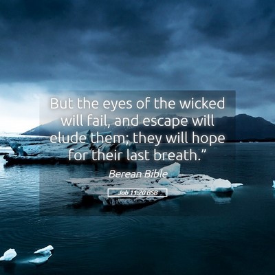 Picture 05 - Job 11:20 BSB - But the eyes of the wicked will fail, and escape - Bible Verse Picture