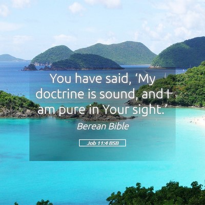 Picture 05 - Job 11:4 BSB - You have said, ‘My doctrine is sound, and I am - Bible Verse Picture