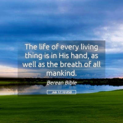 Picture 05 - Job 12:10 BSB - The life of every living thing is in His hand, as - Bible Verse Picture