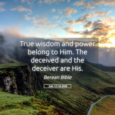 Picture 05 - Job 12:16 BSB - True wisdom and power belong to Him. The deceived - Bible Verse Picture