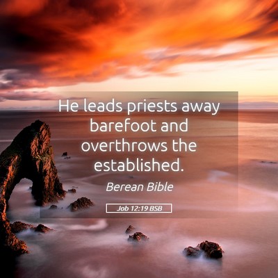Picture 05 - Job 12:19 BSB - He leads priests away barefoot and overthrows the - Bible Verse Picture