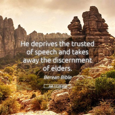 Picture 05 - Job 12:20 BSB - He deprives the trusted of speech and takes away - Bible Verse Picture