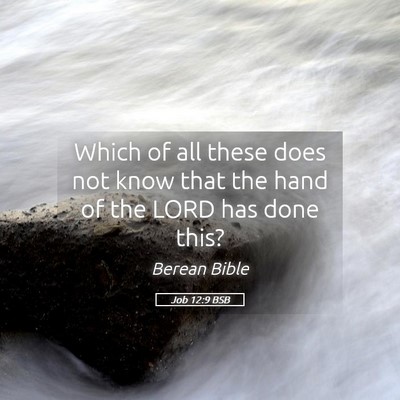 Picture 05 - Job 12:9 BSB - Which of all these does not know that the hand of - Bible Verse Picture