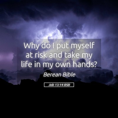 Picture 05 - Job 13:14 BSB - Why do I put myself at risk and take my life in - Bible Verse Picture