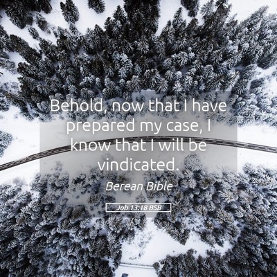 Picture 05 - Job 13:18 BSB - Behold, now that I have prepared my case, I know - Bible Verse Picture