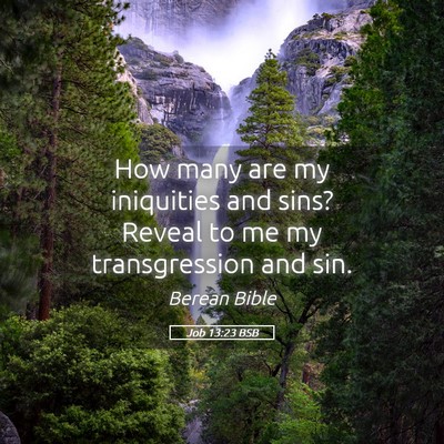 Picture 05 - Job 13:23 BSB - How many are my iniquities and sins? Reveal to me - Bible Verse Picture