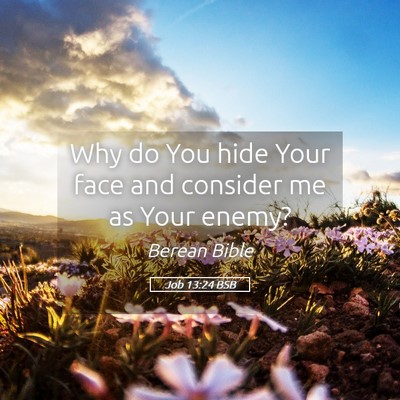 Picture 05 - Job 13:24 BSB - Why do You hide Your face and consider me as Your - Bible Verse Picture