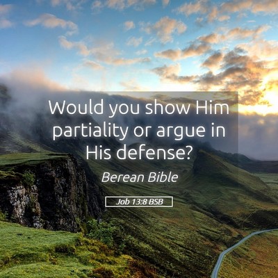 Picture 05 - Job 13:8 BSB - Would you show Him partiality or argue in His - Bible Verse Picture