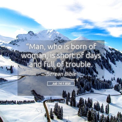 Picture 05 - Job 14:1 BSB - “Man, who is born of woman, is short of days - Bible Verse Picture