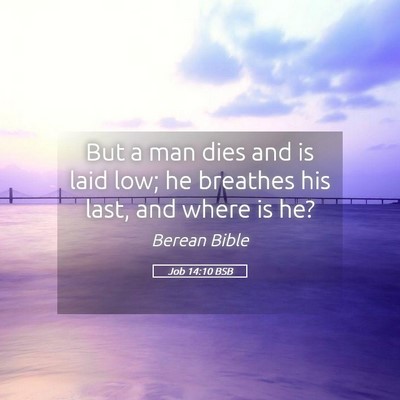 Picture 05 - Job 14:10 BSB - But a man dies and is laid low; he breathes his - Bible Verse Picture