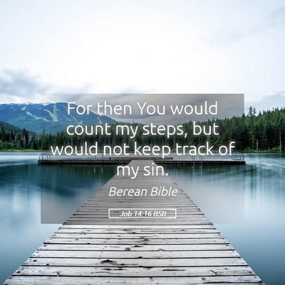 Picture 05 - Job 14:16 BSB - For then You would count my steps, but would not - Bible Verse Picture