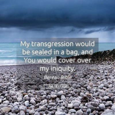 Picture 05 - Job 14:17 BSB - My transgression would be sealed in a bag, and - Bible Verse Picture