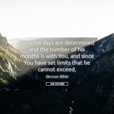 Picture 05 - Job 14:5 BSB - Since his days are determined and the number of - Bible Verse Picture