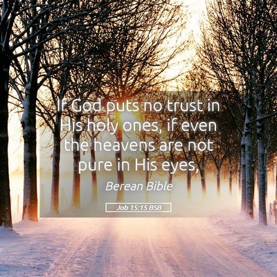 Picture 05 - Job 15:15 BSB - If God puts no trust in His holy ones, if even - Bible Verse Picture